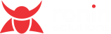 Ronin